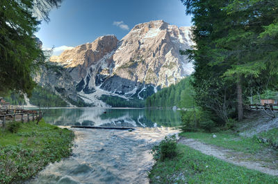 Scenic view of river amidst trees against sky