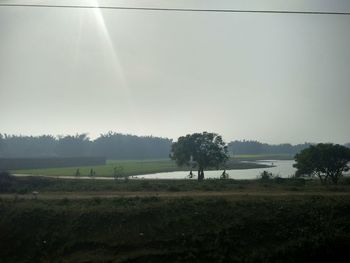 Scenic view of agricultural field against clear sky