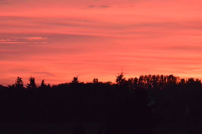 Silhouette of trees during sunset