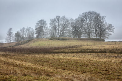 Trees on field against clear sky