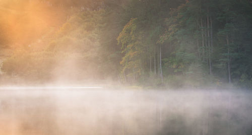 View of waterfall in forest