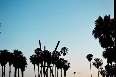 Low angle view of palm trees against blue sky
