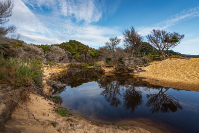 Scenic view of lake and trees against sky