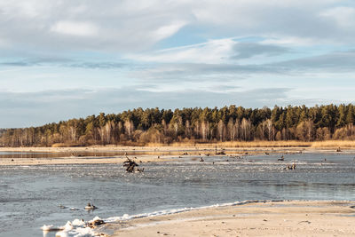 Seashore in winter with ice