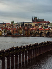 River passing through city buildings