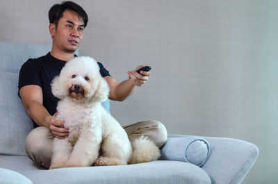 Adorable white poodle dog sitting on blue couch while stay at home with owner when watching tv .