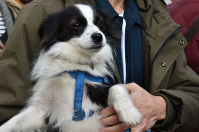 Midsection of man with dog