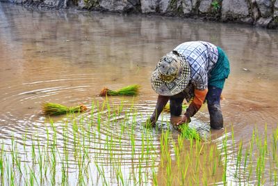 Man working in lake