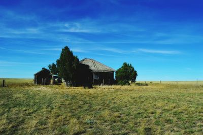 Scenic view of grassy field against blue sky