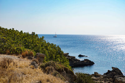 Scenic view of sea against clear sky