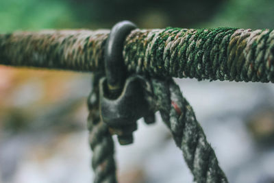 Close-up of rusty chain