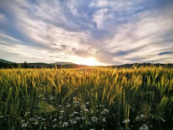 Sunset in dolno sonje