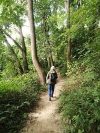 Rear view of man walking on footpath in forest