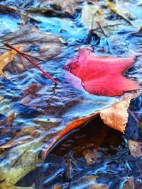 Close-up of water