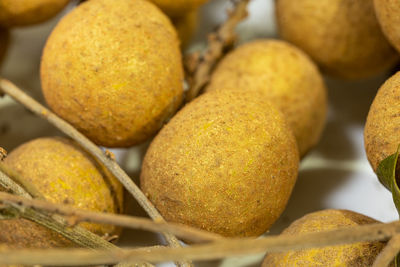 Close-up of fruits