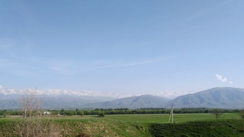 Scenic view of field against sky