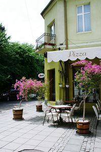 Table and chairs against trees