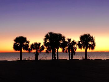 Sunset over the gulf of mexico with palm trees in florida 