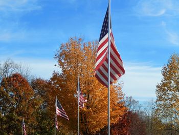 Low angle view of flag against sky