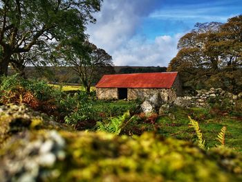 House and trees on field against sky