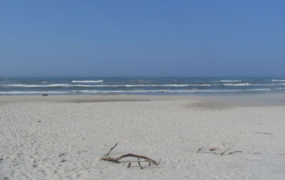 Scenic view of beach against clear sky