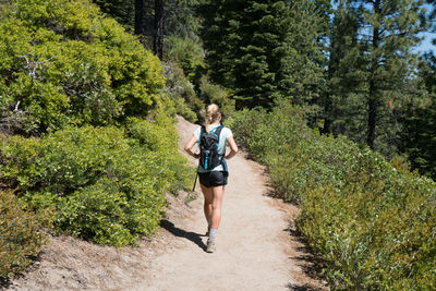 Full length of a man running on footpath in forest