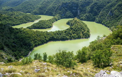 High angle view of trees on landscape