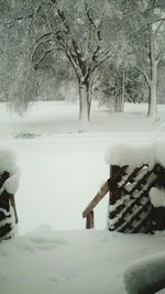 Bare trees on snow covered landscape