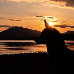 Silhouette hand on beach against orange sky
