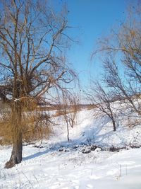 Bare trees on snow covered field against sky