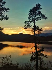 Silhouette tree by lake against sky during sunset