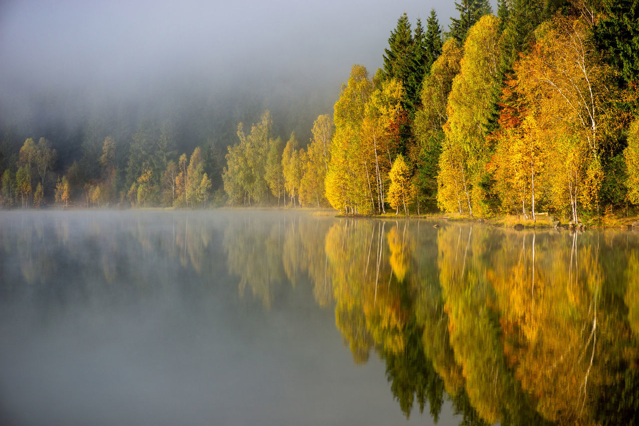 Scenic view of lake by trees during autumn