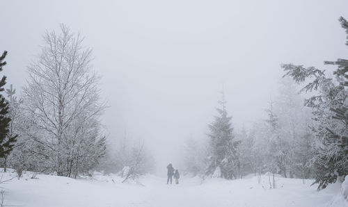 Scenic view of snow covered trees against clear sky