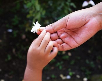 Cropped hand of parent giving white flower to child against plants