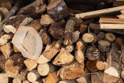 Full frame shot of logs in forest