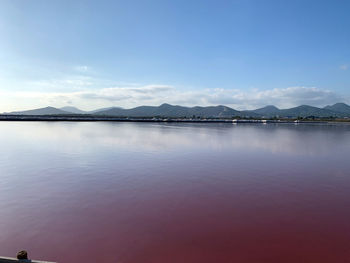 Scenic view of sea against blue sky