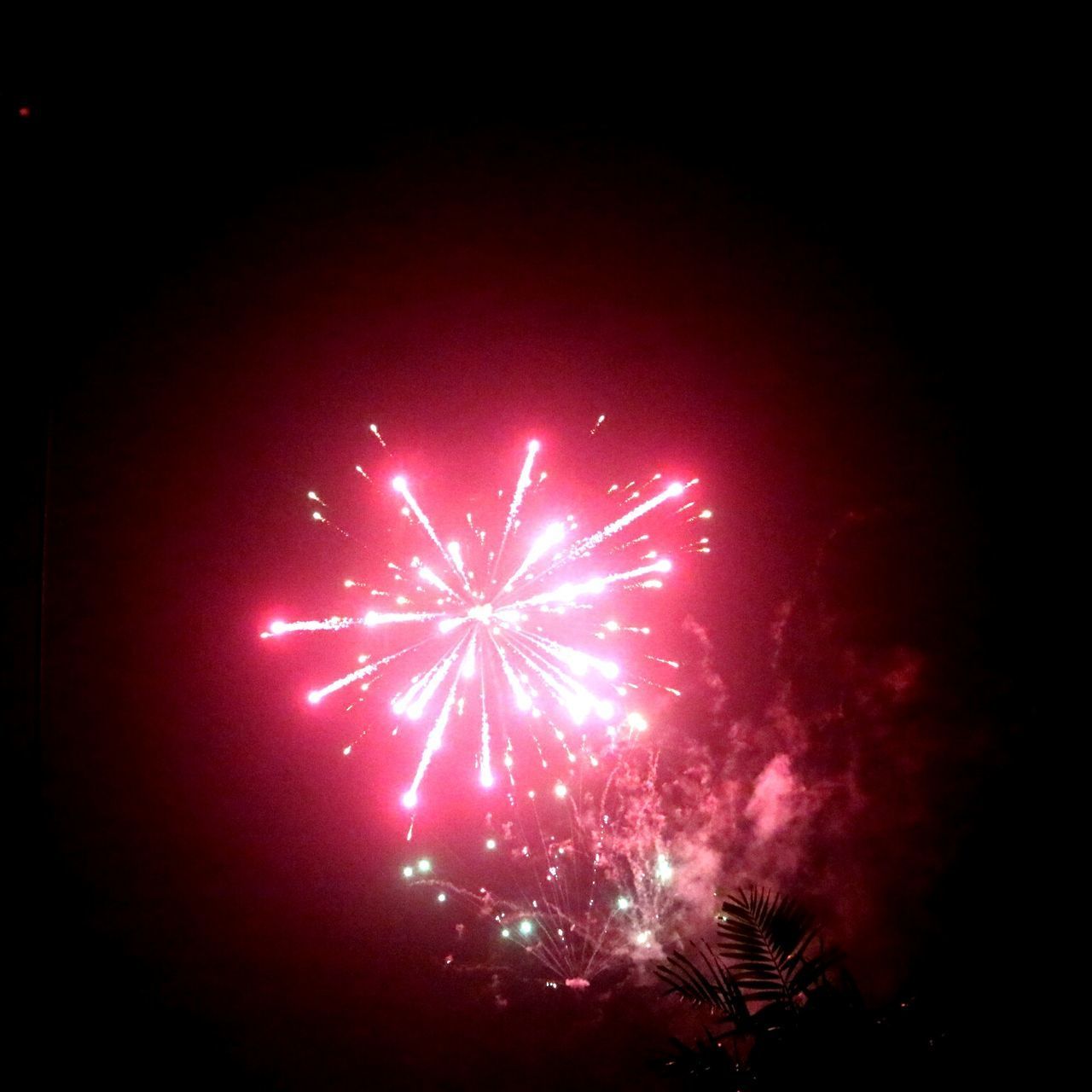 FIREWORK DISPLAY AT NIGHT