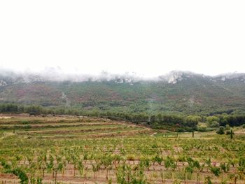 View of fields against mountain range in foggy weather
