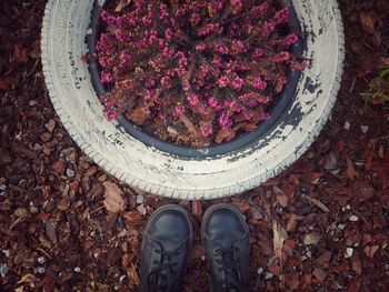 Low section of person standing by flowering plants
