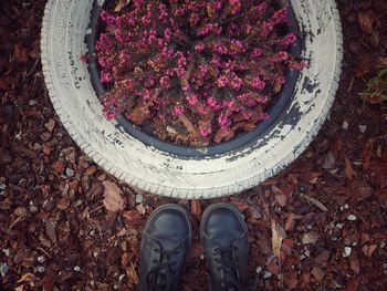 Low section of person standing by flowering plants