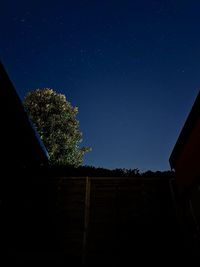 Low angle view of tree against sky at night