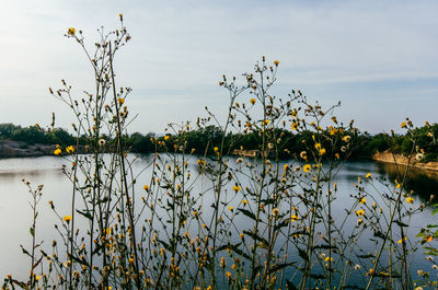 Scenic view of lake against sky