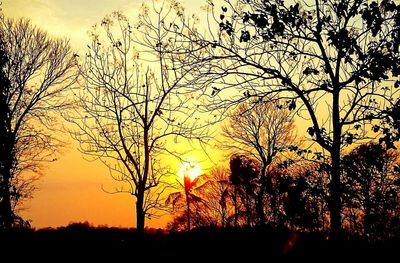 Silhouette trees against sky during sunset