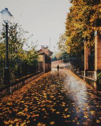 Street amidst buildings against sky during autumn