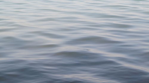 High angle view of a sea