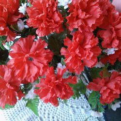 Close-up of red flower