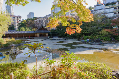 Plants growing by river and buildings against sky