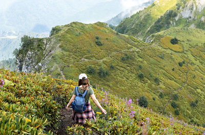 Rear view of young woman with backpack hiking in mountains among rhododendron plants flowers hiking 