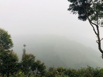 Scenic view of tree mountains against sky