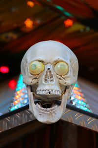 Close-up of human skull on table